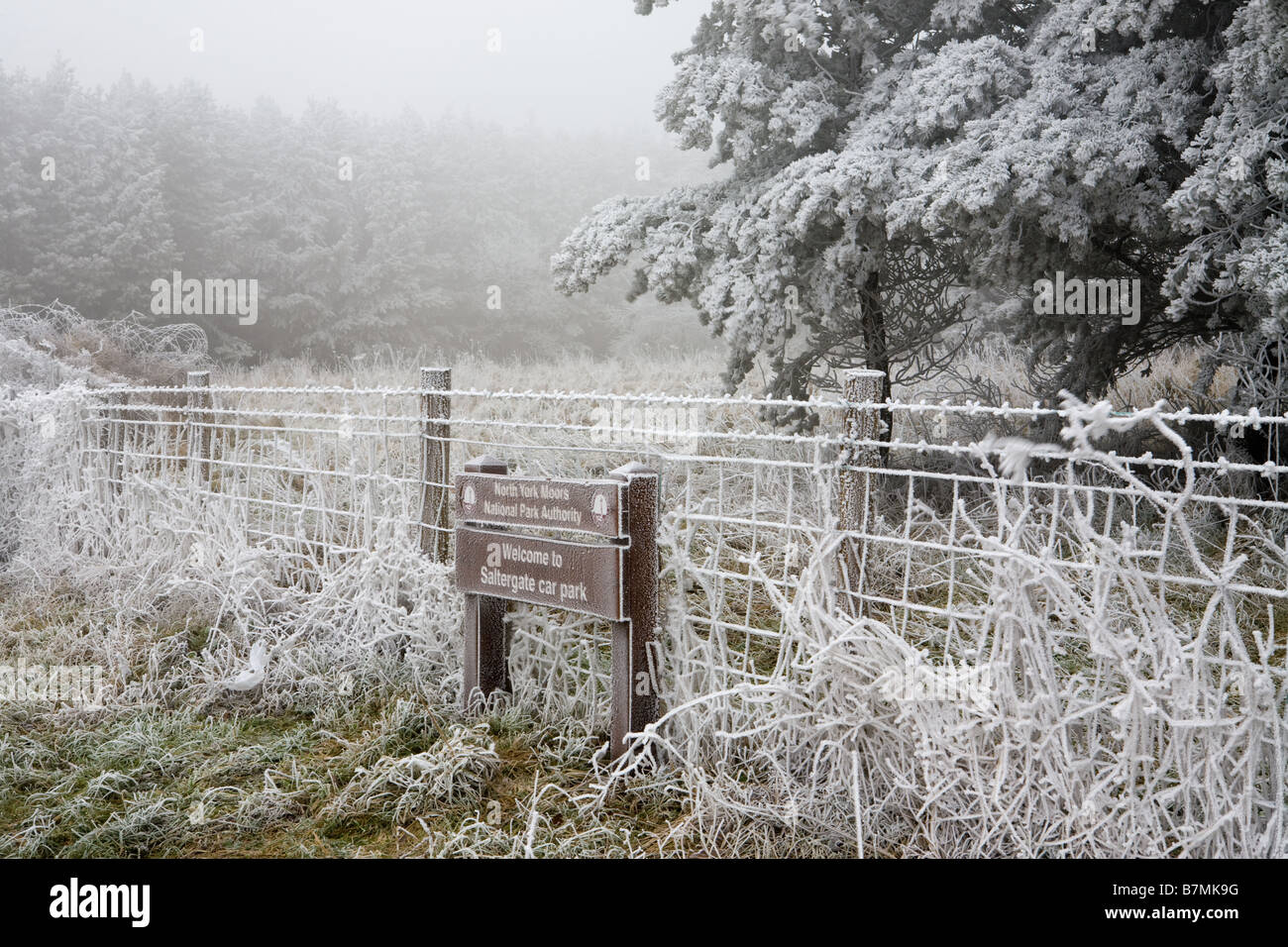 Hoar Frost on Trees and Fences at the Hole of Horcum North York Moors National Park North Yorkshire England Stock Photo