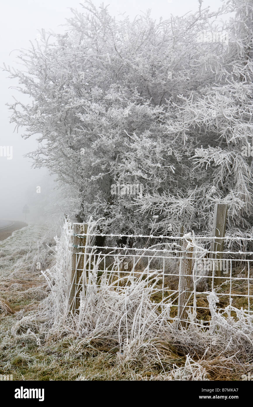 Hoar Frost on Trees and Fences at the Hole of Horcum North York Moors National Park North Yorkshire England Stock Photo