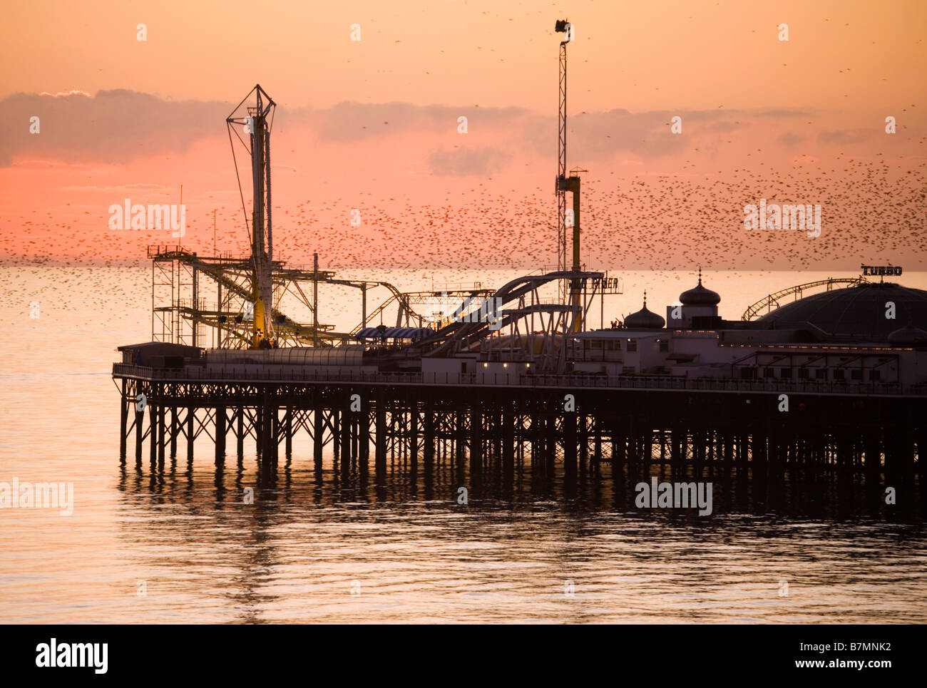 Starlings flying over Brighton pier at sunset, Sussex, UK Stock Photo