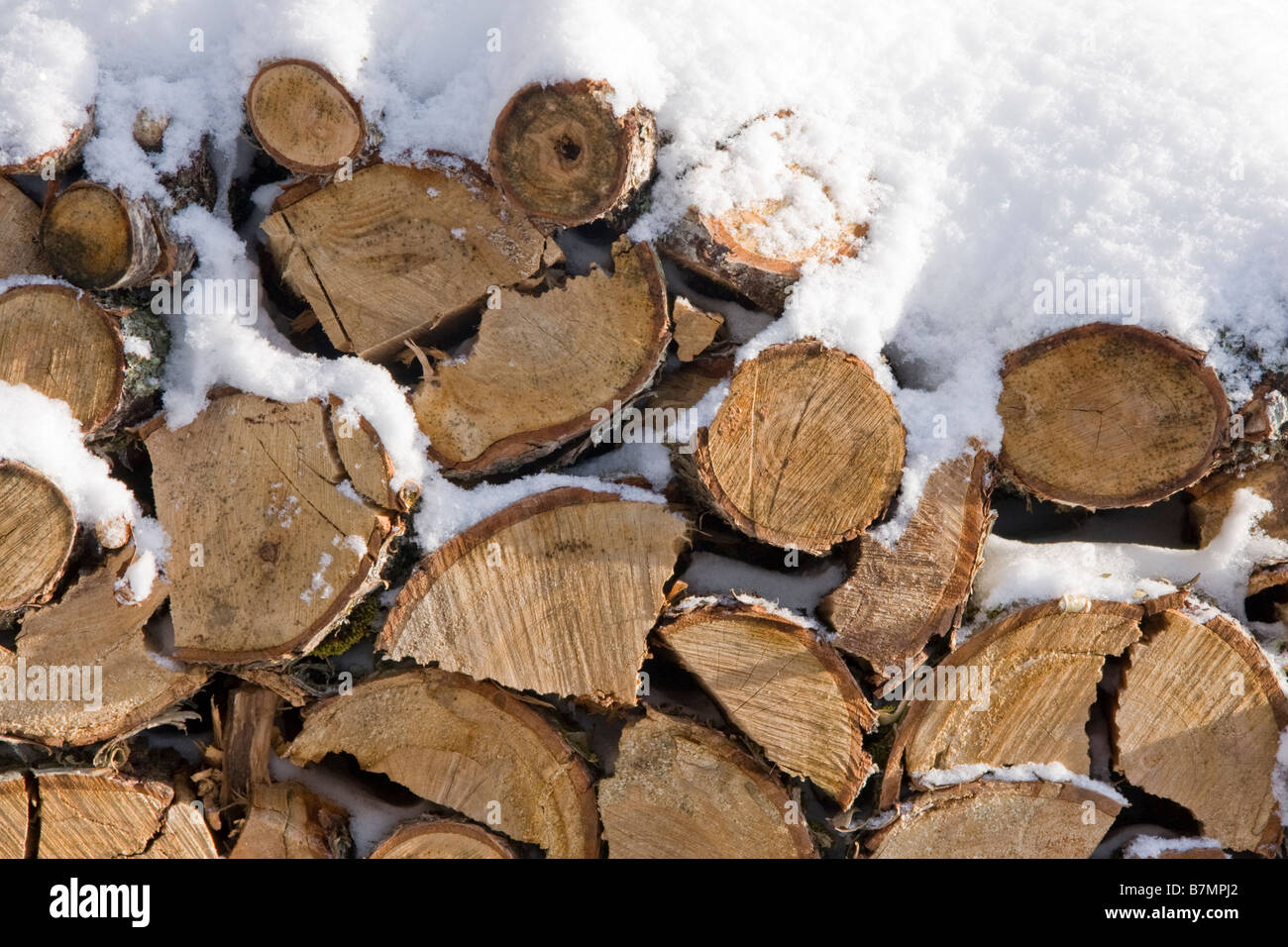 Stacked Firewood Halifax Nova Scotia Canada Stock Photo