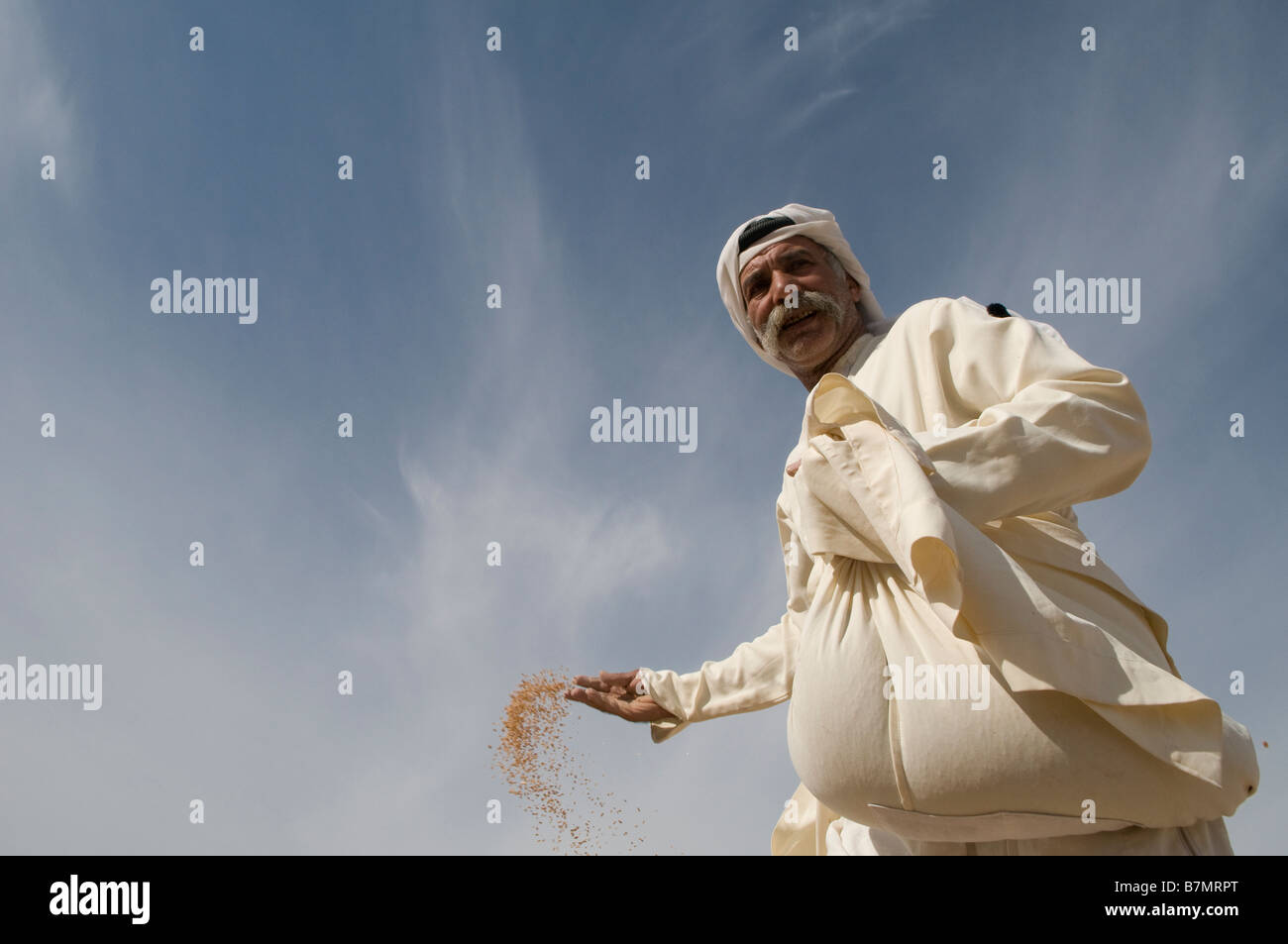 An Israeli Arab farmer spreading seeds by hand in the field in the Negev desert Southern Israel Stock Photo