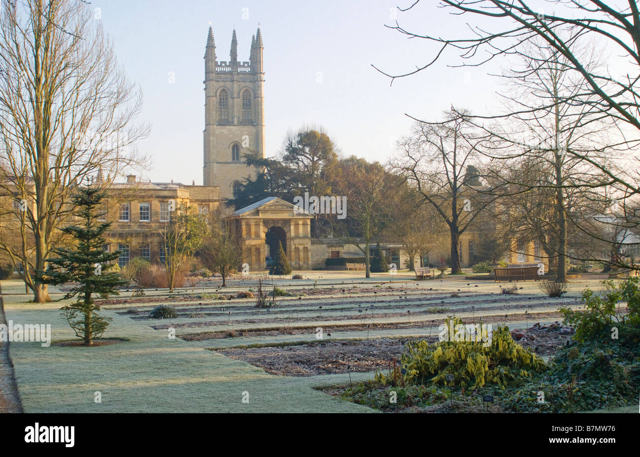 Winter in the Botanic Garden with Magdalen College Tower behind, Oxford Stock Photo