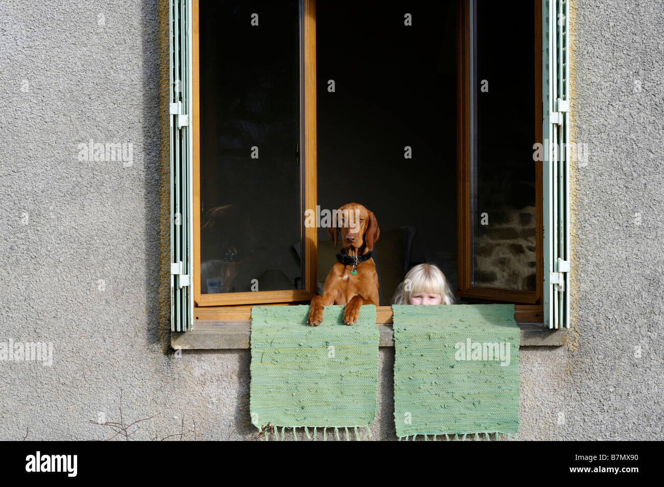 Stock photo of a little girl and her pet dog looking out of an open window Stock Photo