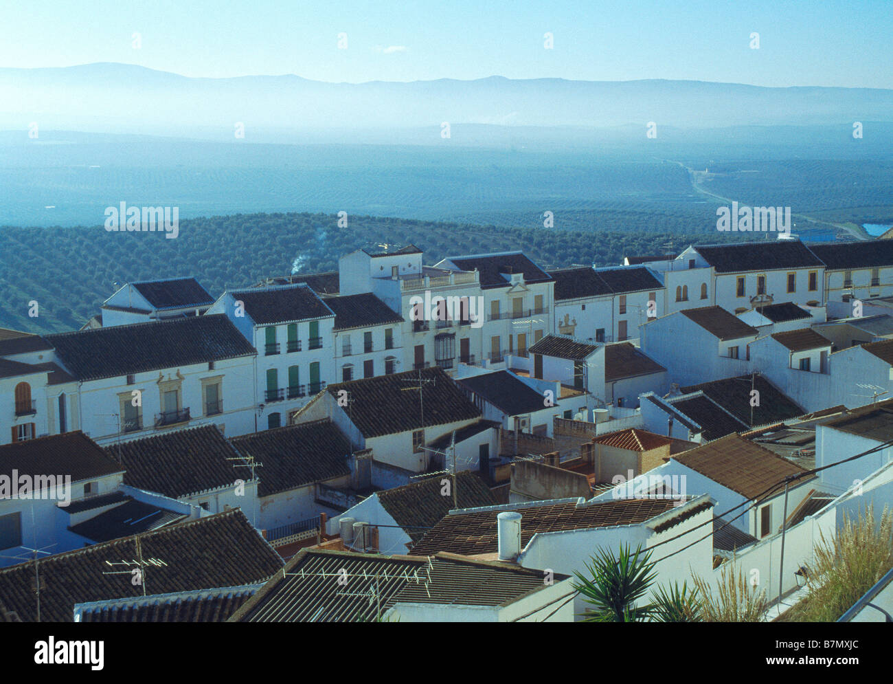 Overview of Espejo. Cordoba province. Andalusia. Spain. Stock Photo