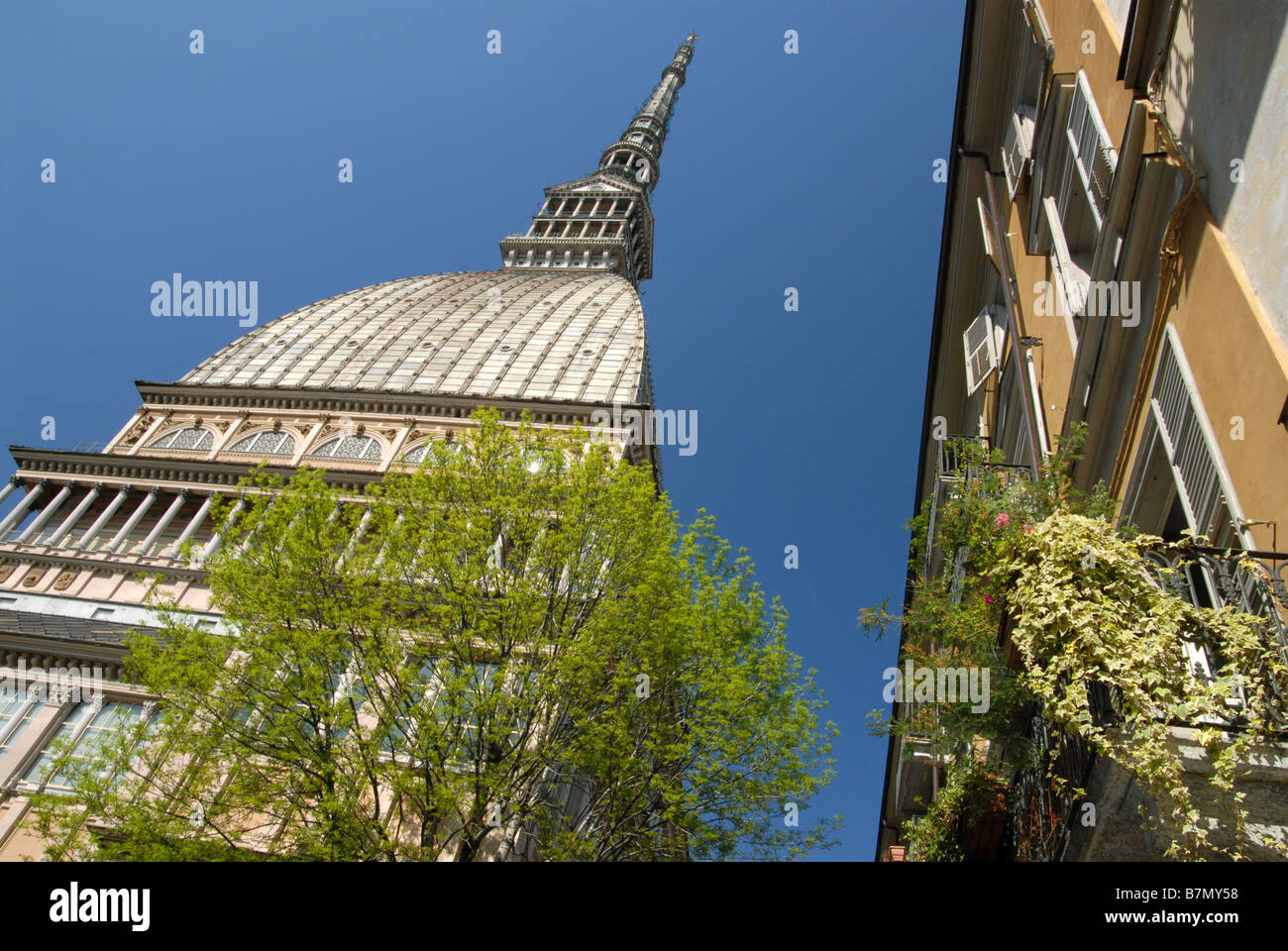 The Mole Antonelliana - the symbol of Turin and home of the Museo
