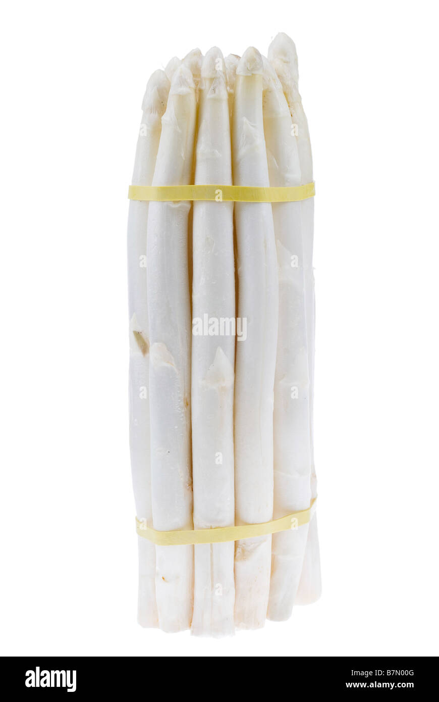 fresh bunch of white asparagus isolated on a white background Stock Photo