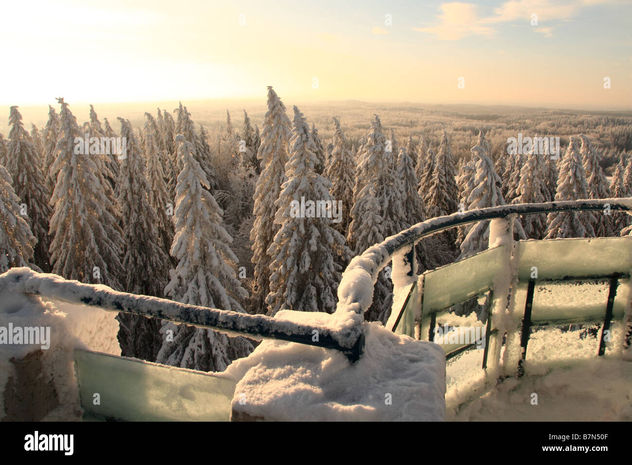 View from the Suur munamägi hill watch tower in Haanja, Estonia in winter. Stock Photo