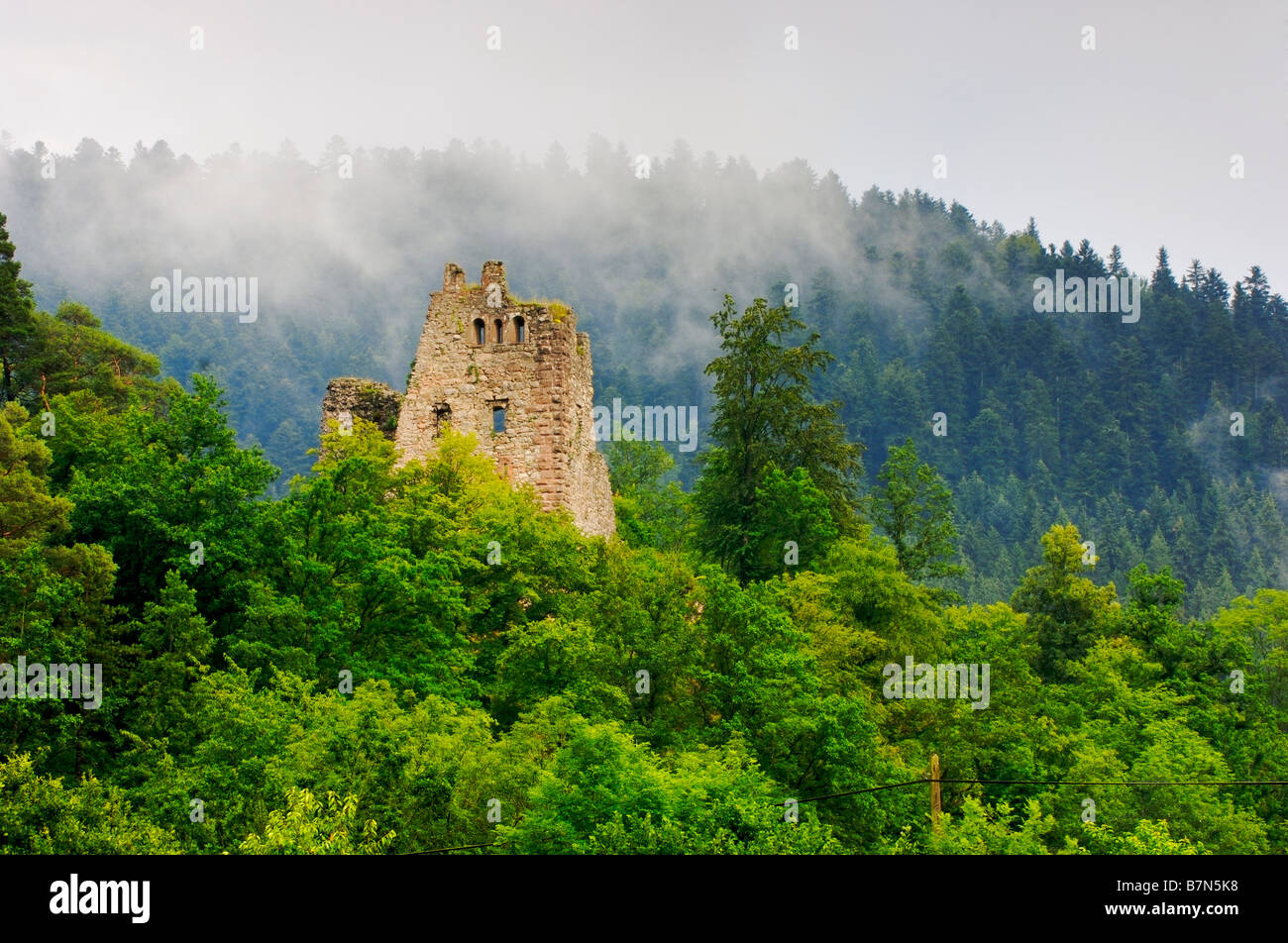 Castle ruins in mist Northern Black Forest Germany Stock Photo