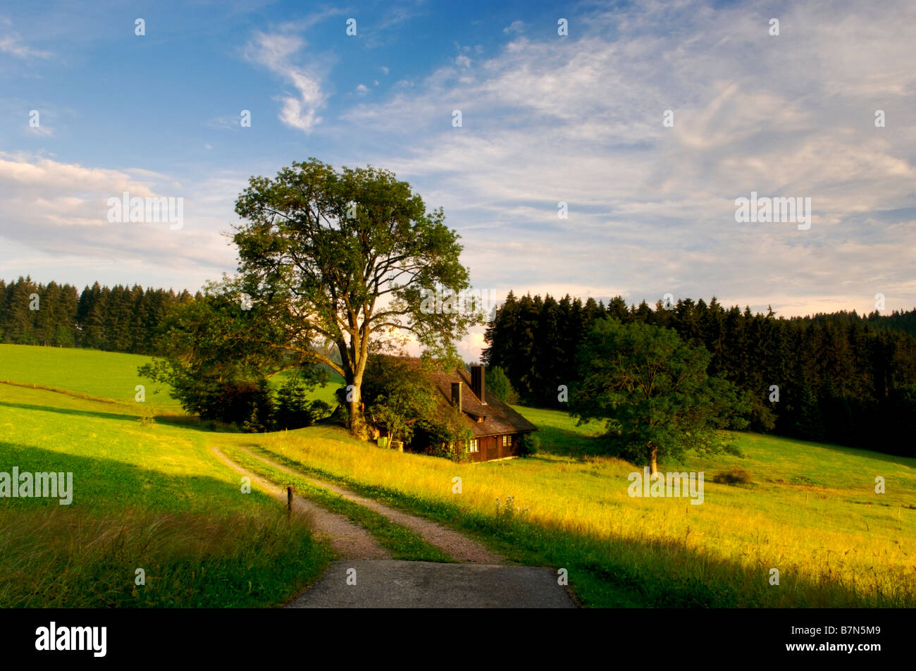 Black Forest House High Resolution Stock Photography and Images Alamy
