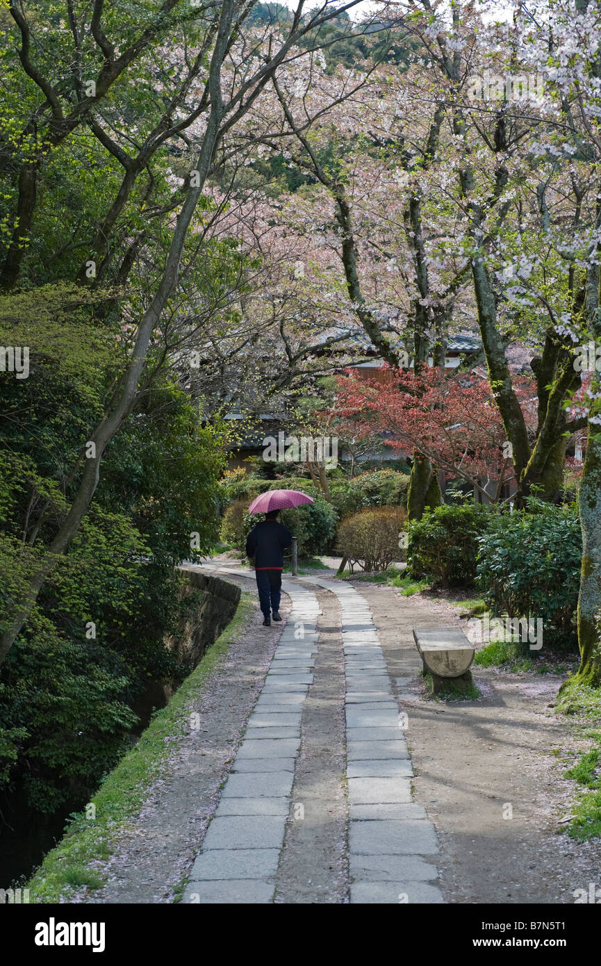 Kyoto, Japan. Cherry blossom along the Philosopher's Path in the spring Stock Photo