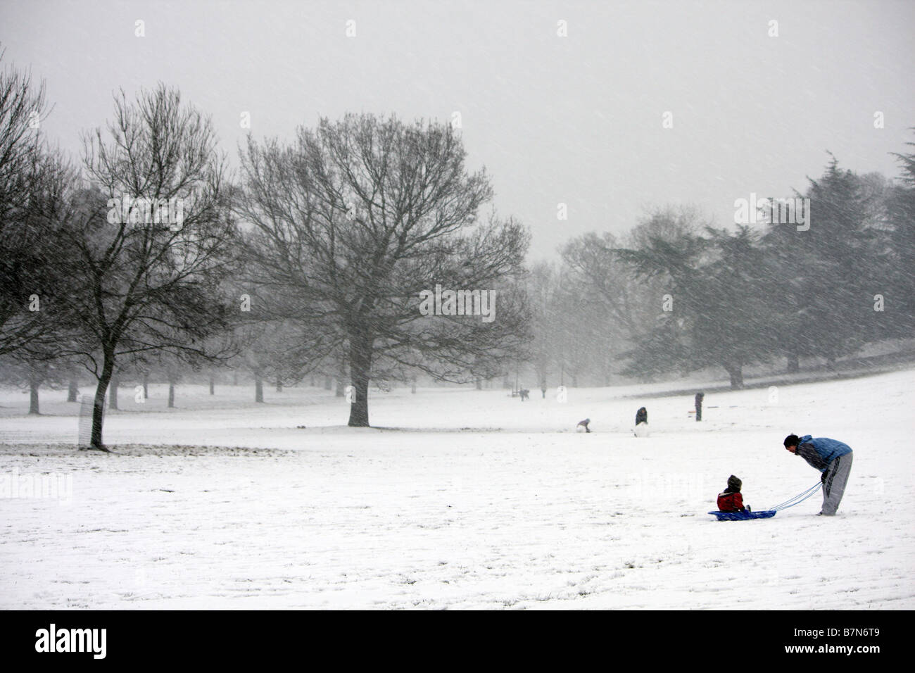 Sledging fun at the park Stock Photo