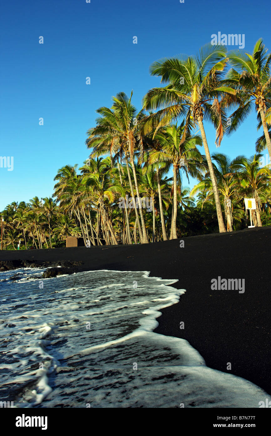 Punalu'u Black sand and green palm trees at sunrise at Black Sand Beach. Big Island Hawaii USA Stock Photo