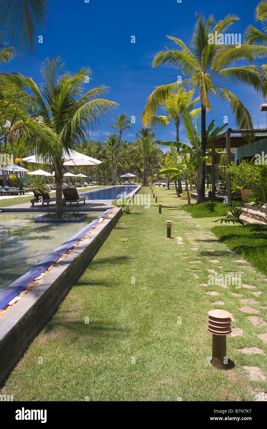 Palm trees in grass area beside swimming pool in grounds of hotel in