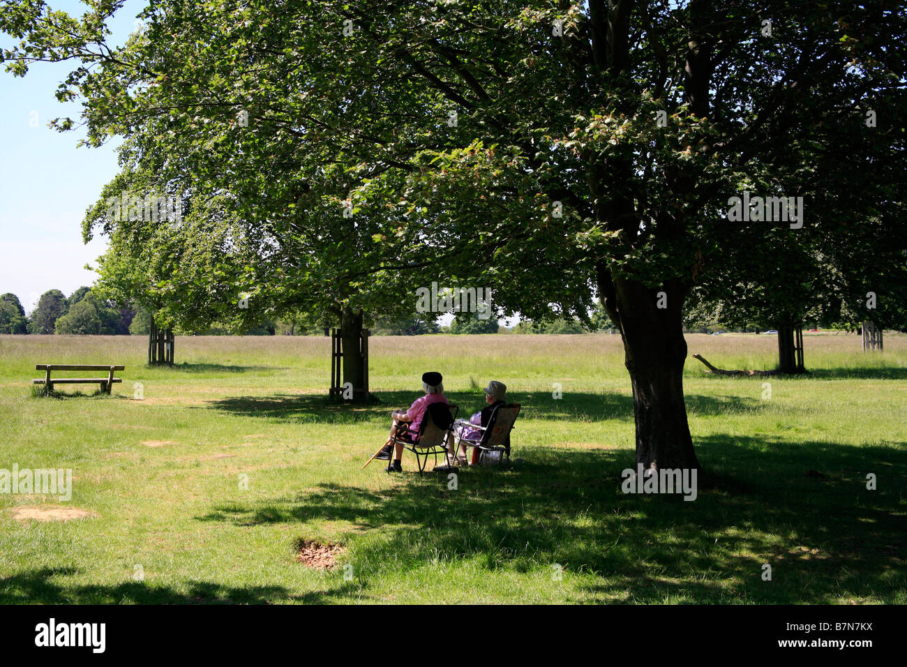 Richmond Park in London England Stock Photo