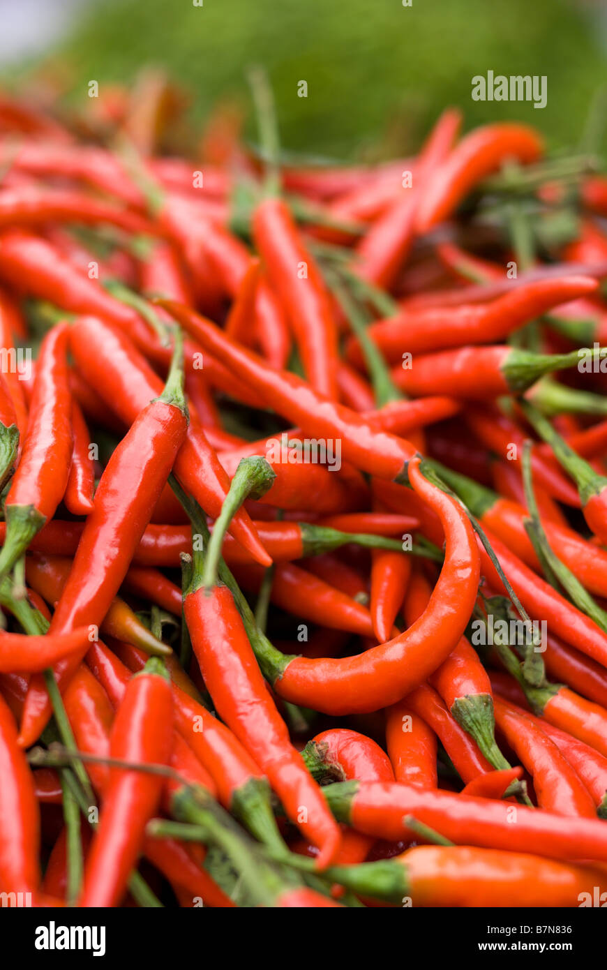Detail of thai chillies in bangkok market hires stock photography and
