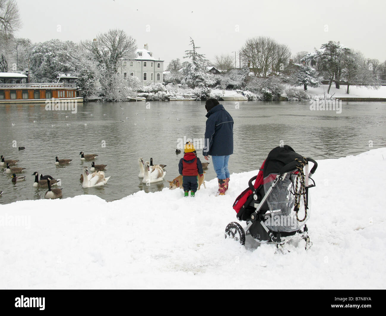 Mother and toddler feed birds in the snow at Thames riverside open space at Sadler's Ride, Hurst Park, East Molesey, near Hampton Court. Stock Photo