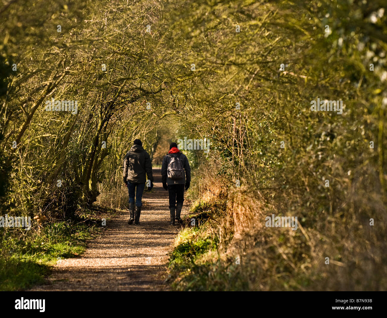 Two walkers in a lane in the Essex countryside. Stock Photo