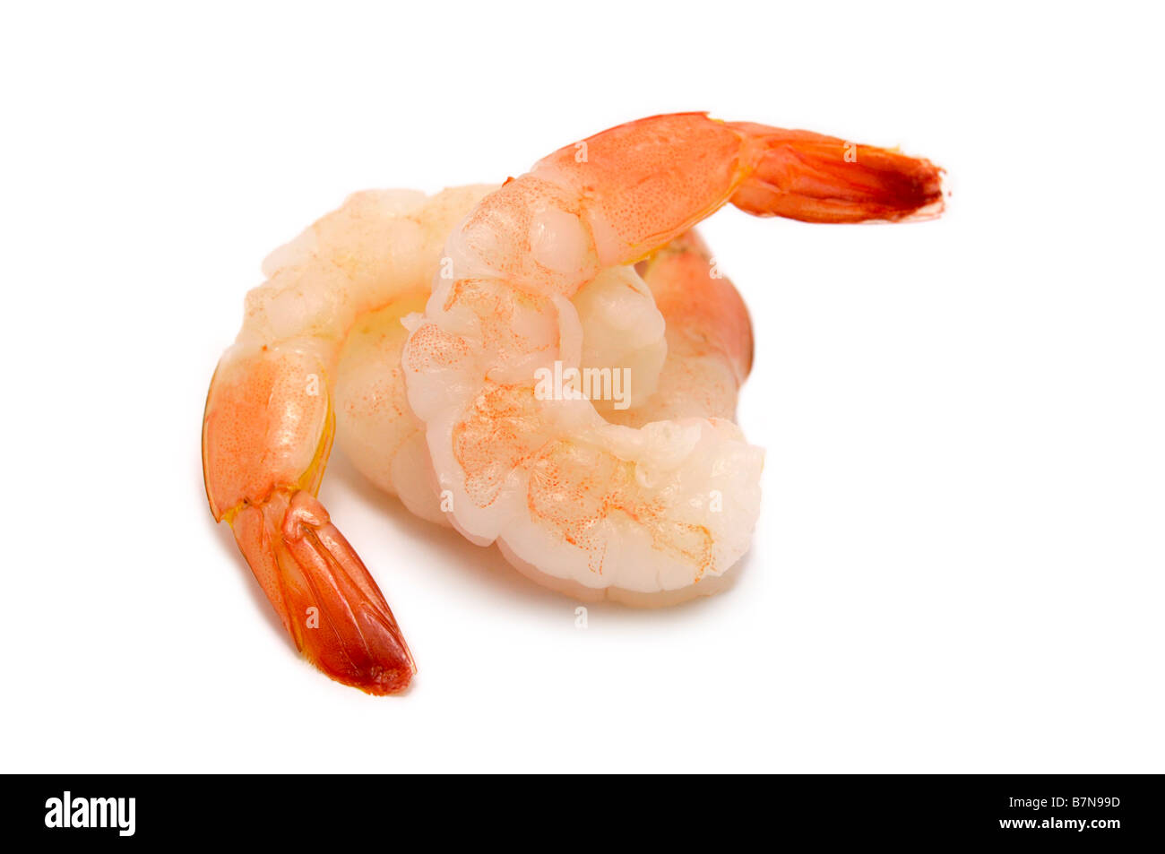 Cooked Cocktail Shrimp Stock Photo