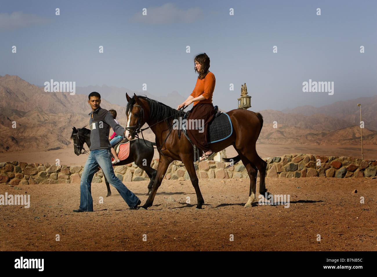 Tourists riding on horses, Dahab, Egypt Stock Photo Alamy
