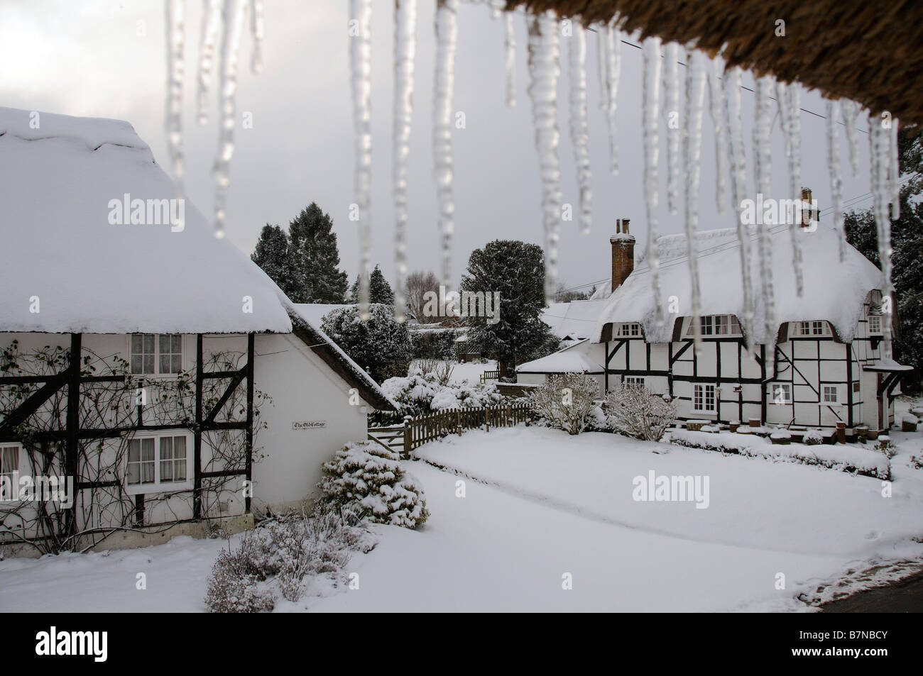 Icicles hang from a thatched roof in the snow covered village of Micheldever Hampshire southern England UK Stock Photo