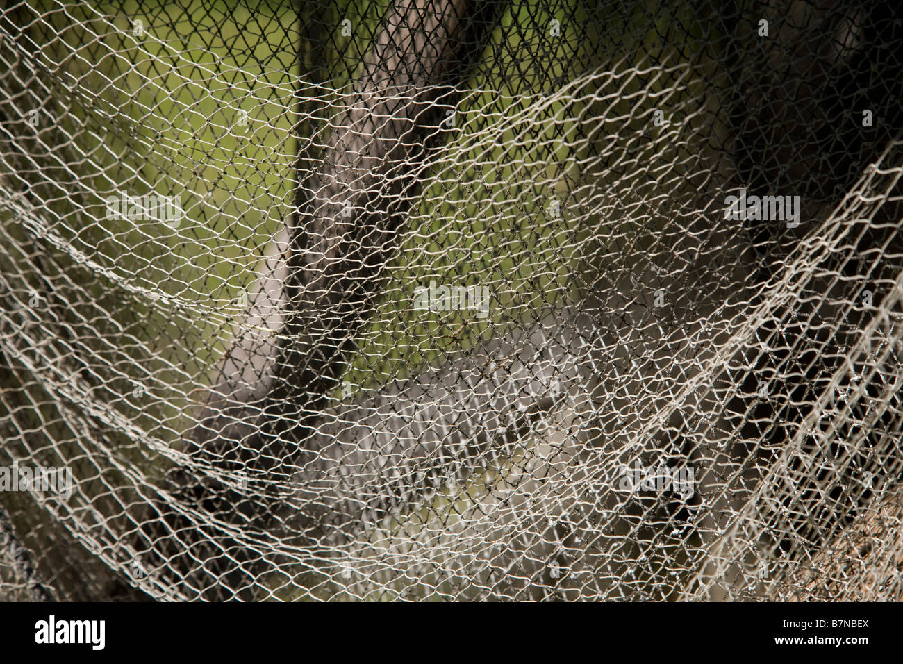 Old Fishing Net Stock Photo Alamy