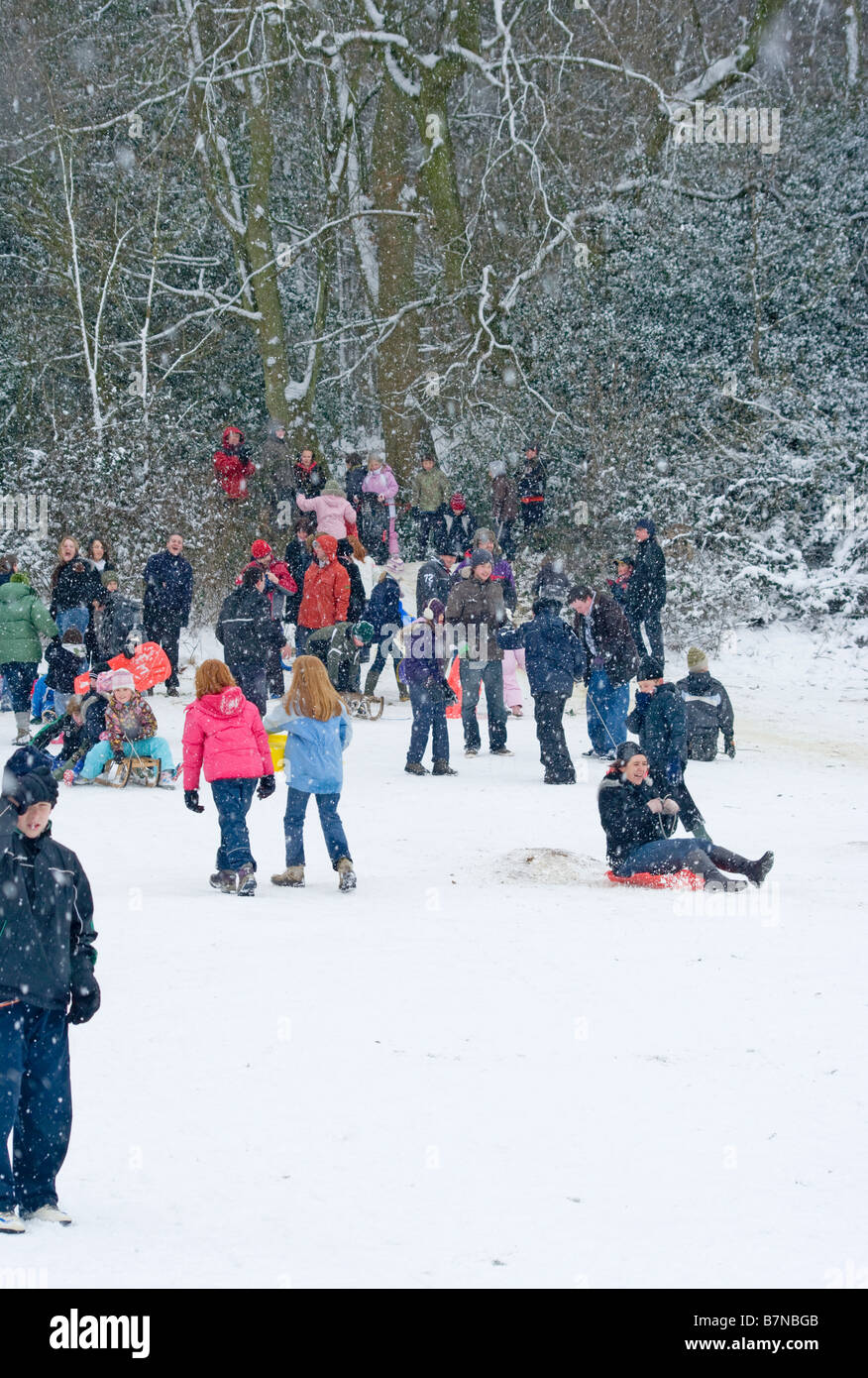 People Playing In The Snow in Reigate Priory Park Surrey UK Winter Stock Photo