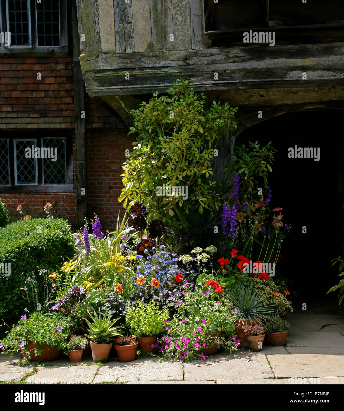 COLOURFUL SUMMER POT PLANTS PROVIDE A WELCOME AT THE ENTRANCE TO AN ENGLISH COUNTRY HOUSE. Stock Photo