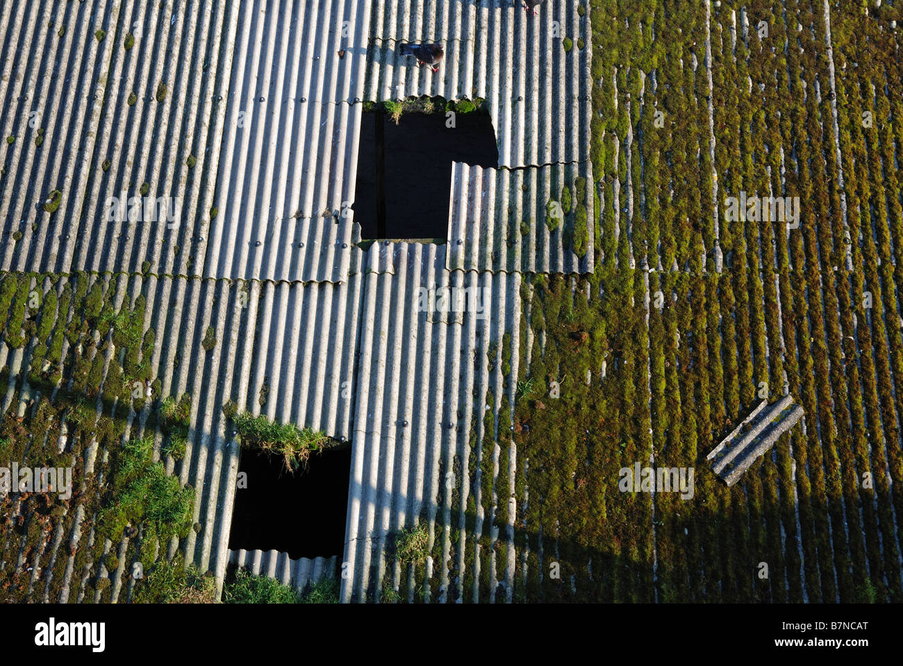 an old asbestos roof Stock Photo