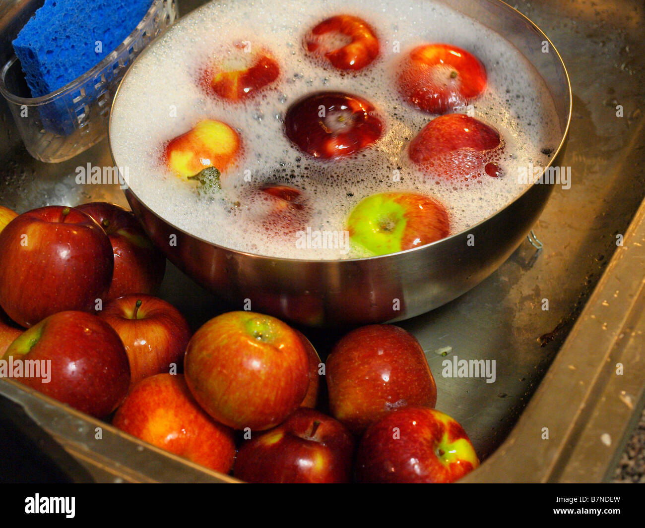 Freshly picked apples in a stainless steel bowl and kitchen sink being washed and prepared for eating or cooking. Stock Photo