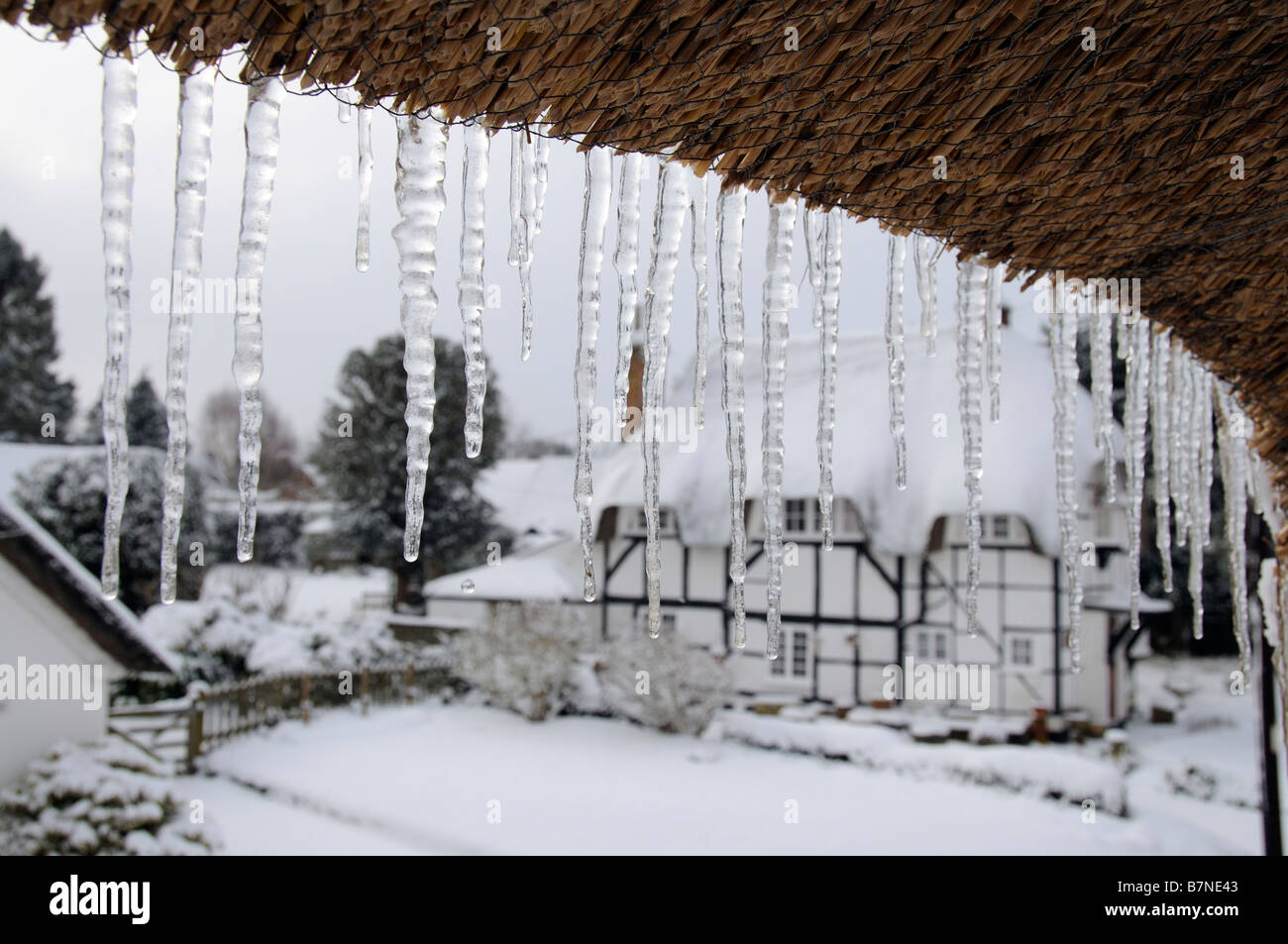 Icicles hang from a thatched roof in the snow covered village of Micheldever Hampshire southern England UK Stock Photo