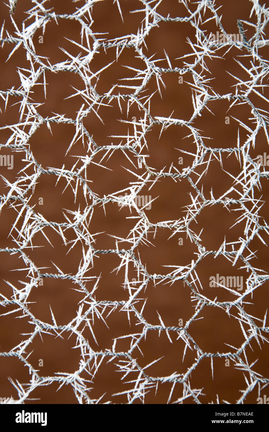 Ice crystals form on a chicken wire fence during a January ice storm in