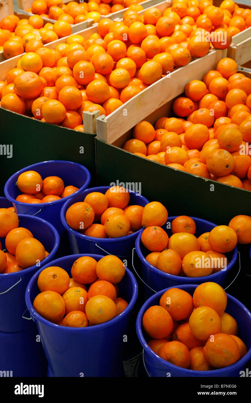 oranges in a supermarket Stock Photo Alamy