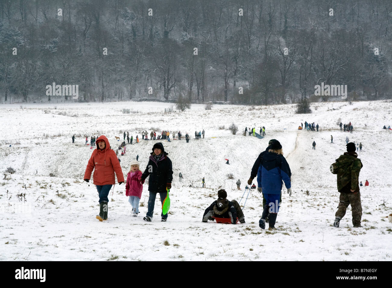 English winter park hi-res stock photography and images - Alamy
