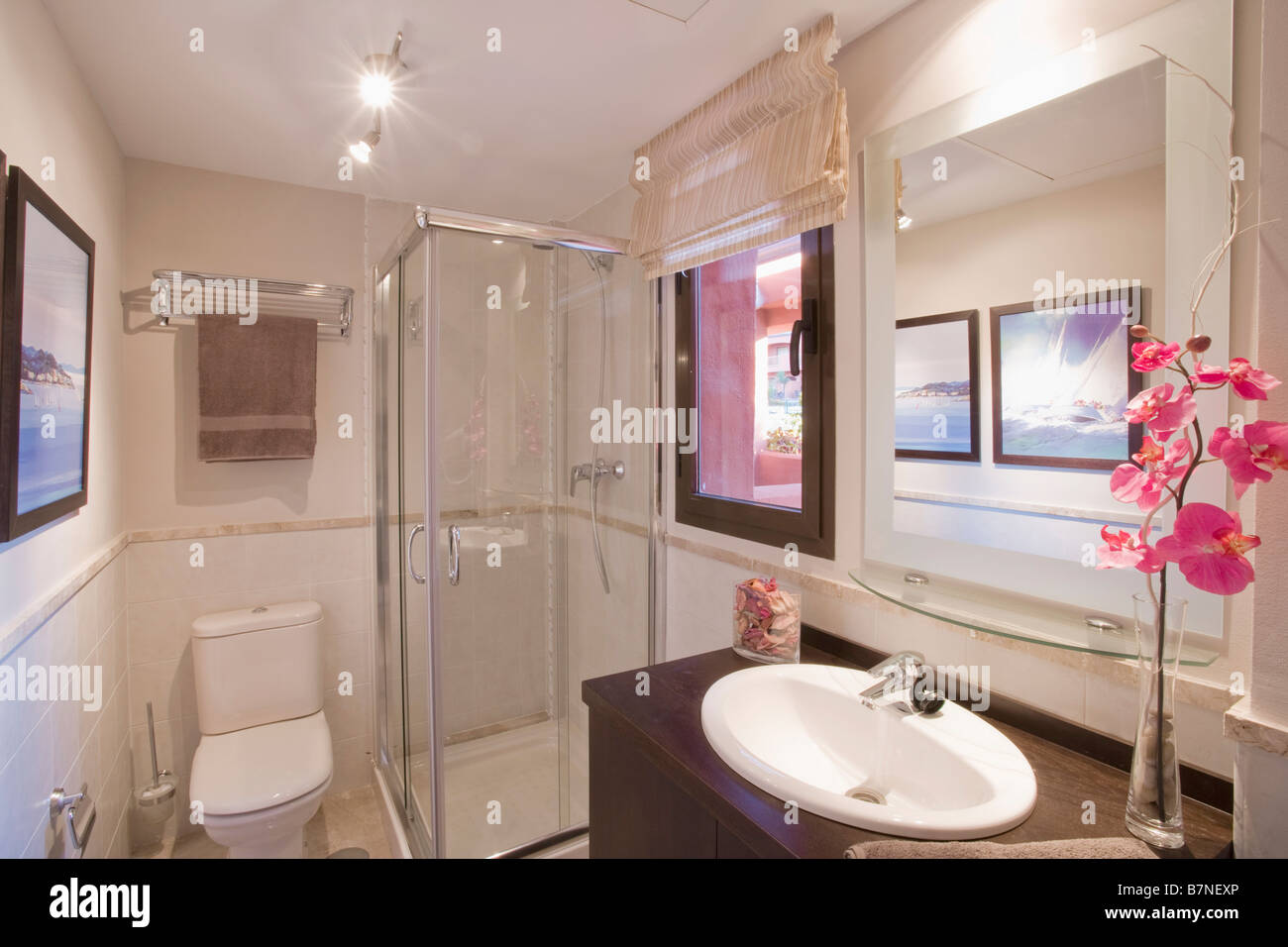 Pink Orchid In Vase On Vanity Unit In Modern White Shower Room Stock Photo Alamy