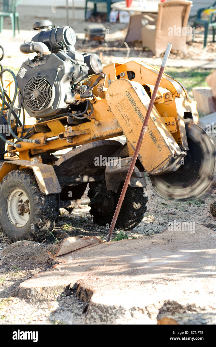 Stump grinder used to remove stumps after tree removal Stock Photo Alamy