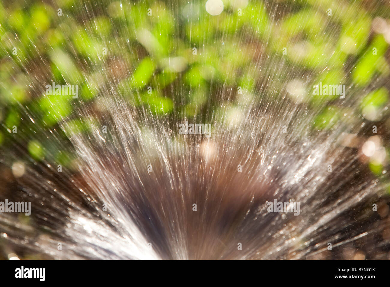 Jet of water (outside, sunshine Stock Photo Alamy