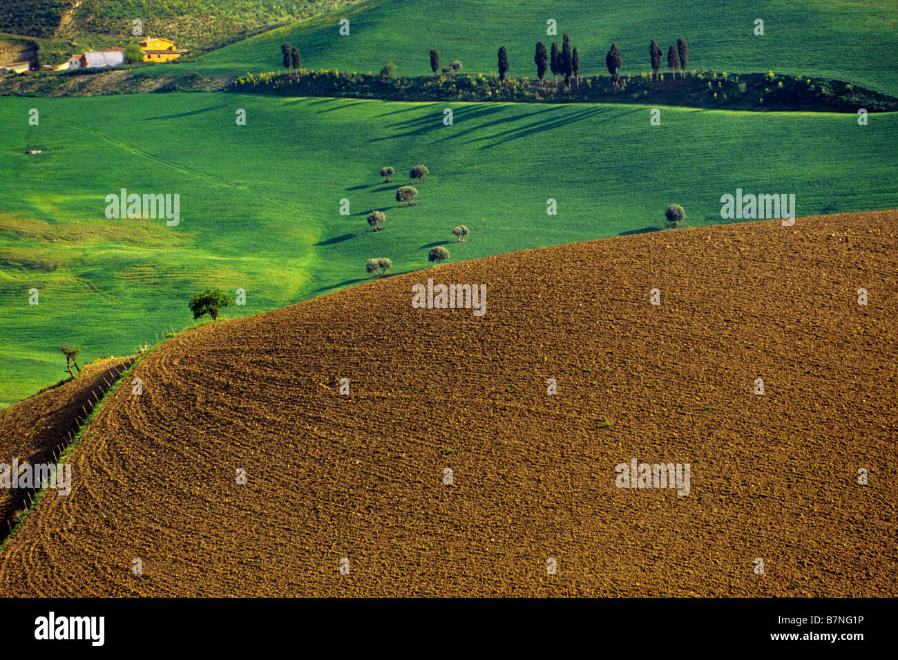 Fields and farm buildings in spring near town of Agira Sicily Italy Stock Photo