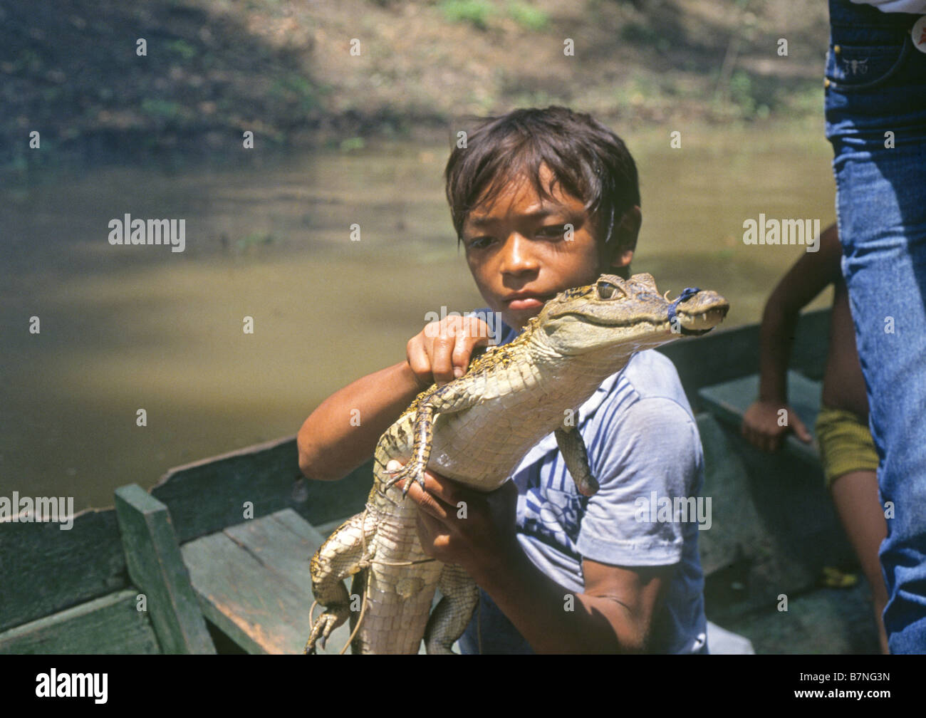 A young Indian boy in a small boat holds a baby caiman he is trying to sell on a small remote tributary of the Amazon River, Brazil. Stock Photo
