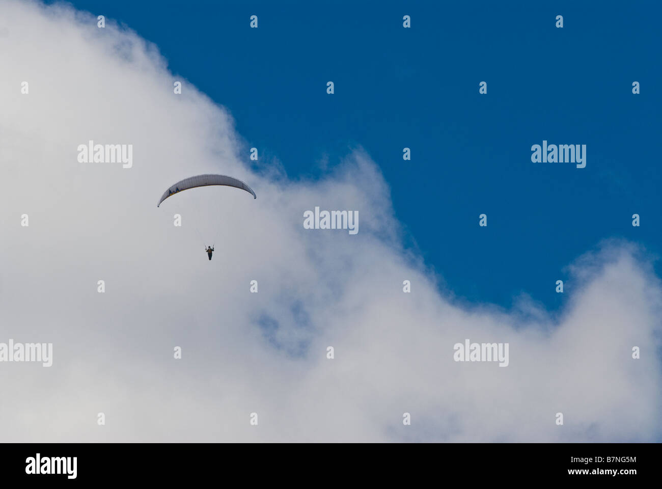 hang glider soaring in sky Stock Photo