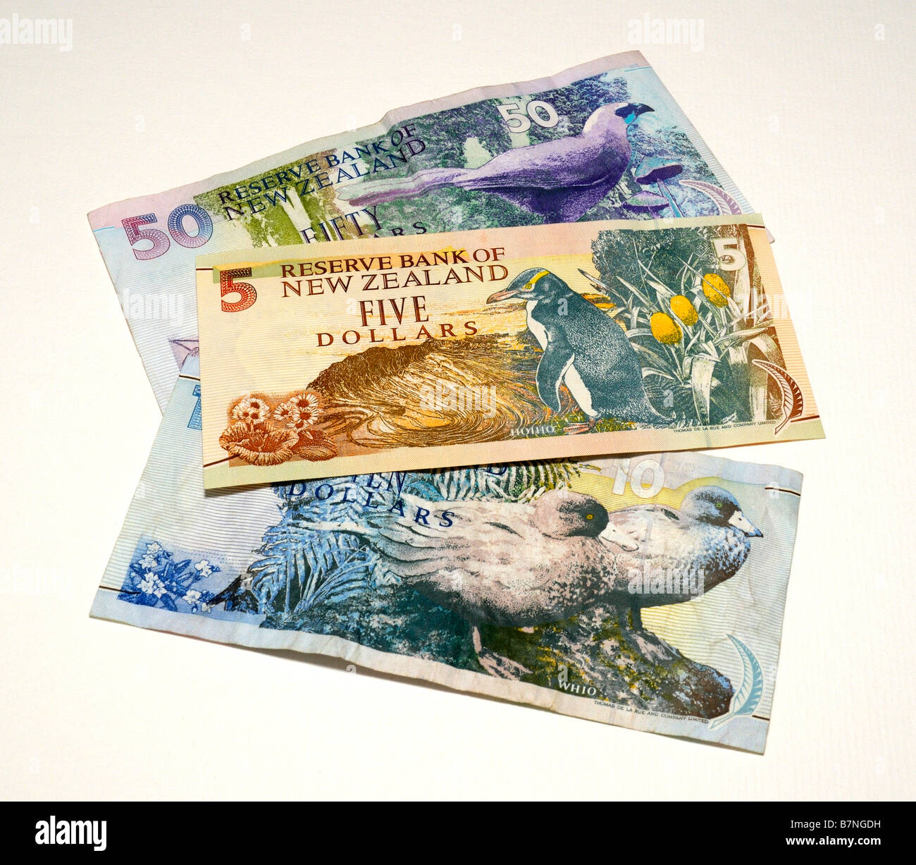 New Zealand Bank Notes Stock Photo - Alamy