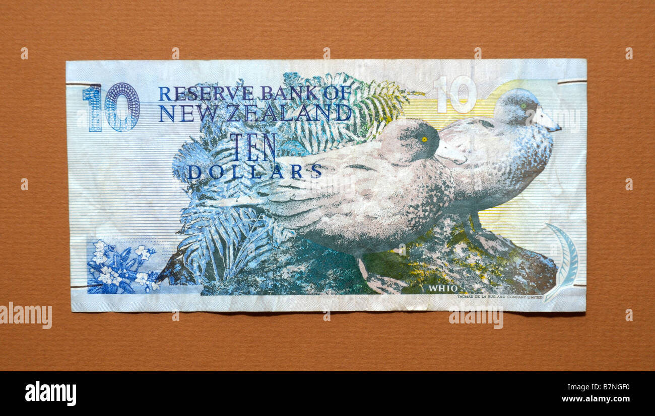 New Zealand 10 Ten Dollar Bank Note Stock Photo