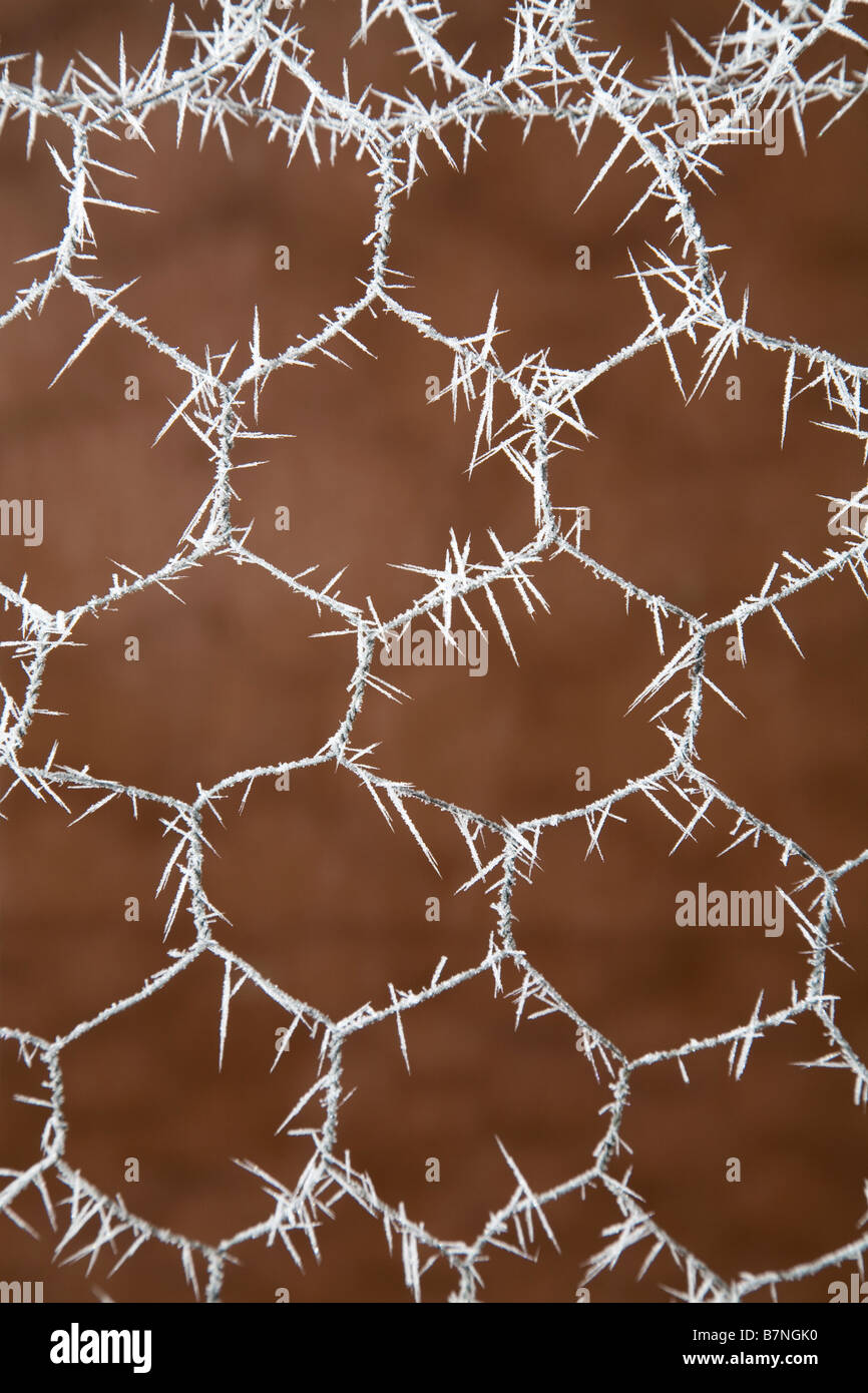 Ice crystals form on a chicken wire fence during a January ice storm in the high desert of central Oregon Stock Photo