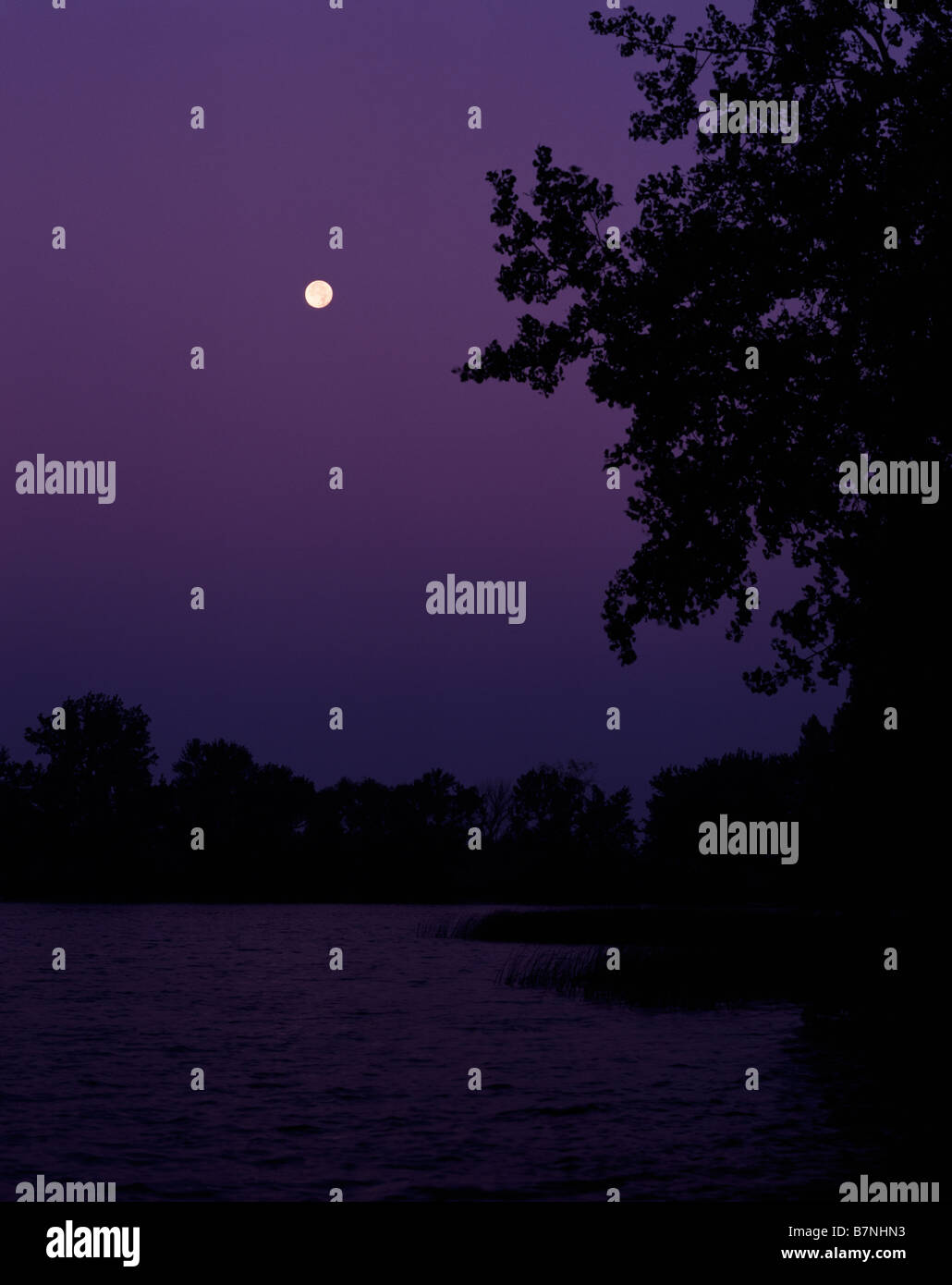 Featherstone memorial park hires stock photography and images Alamy