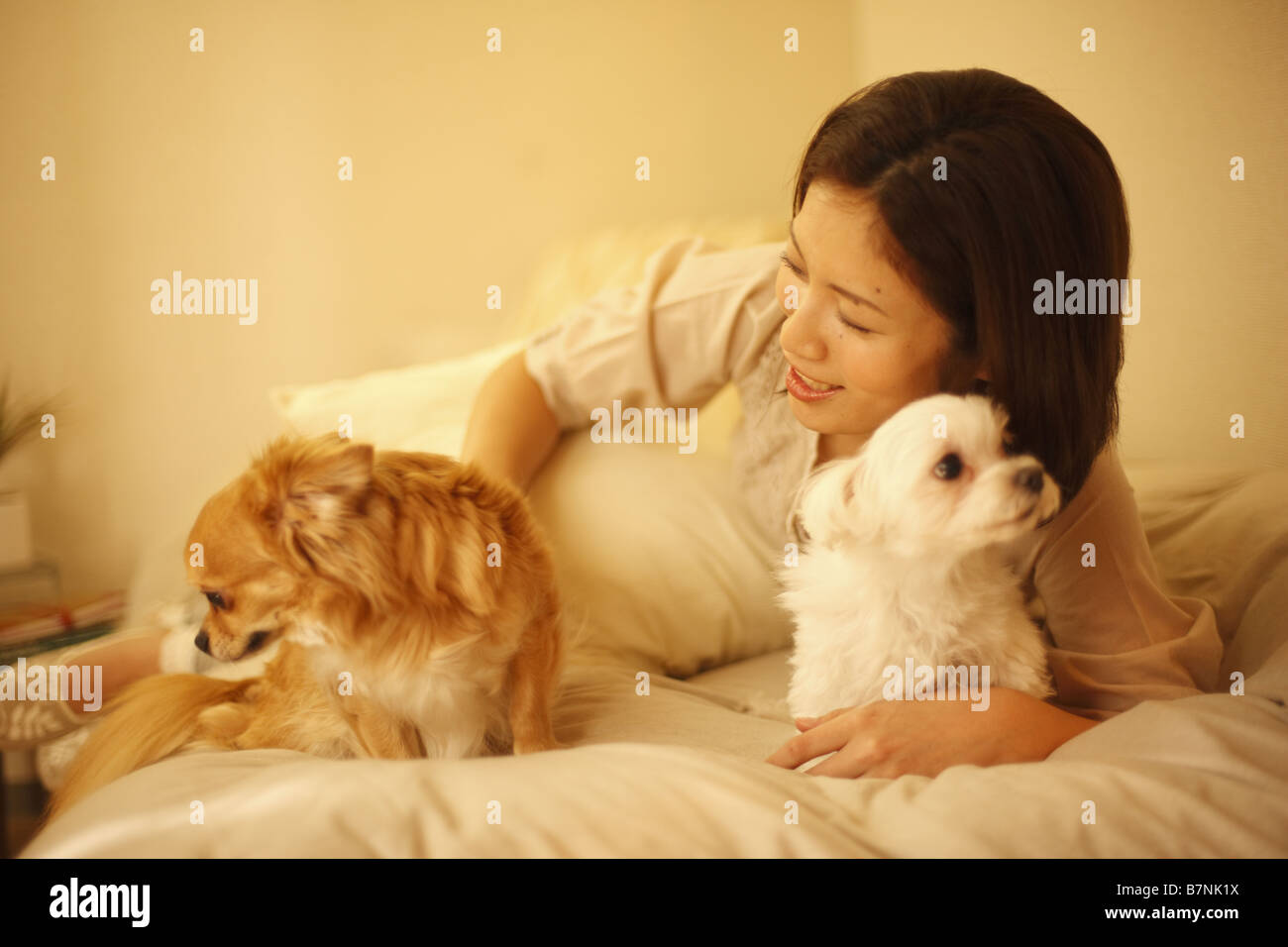 Woman playing two dogs hi-res stock photography and images - Alamy