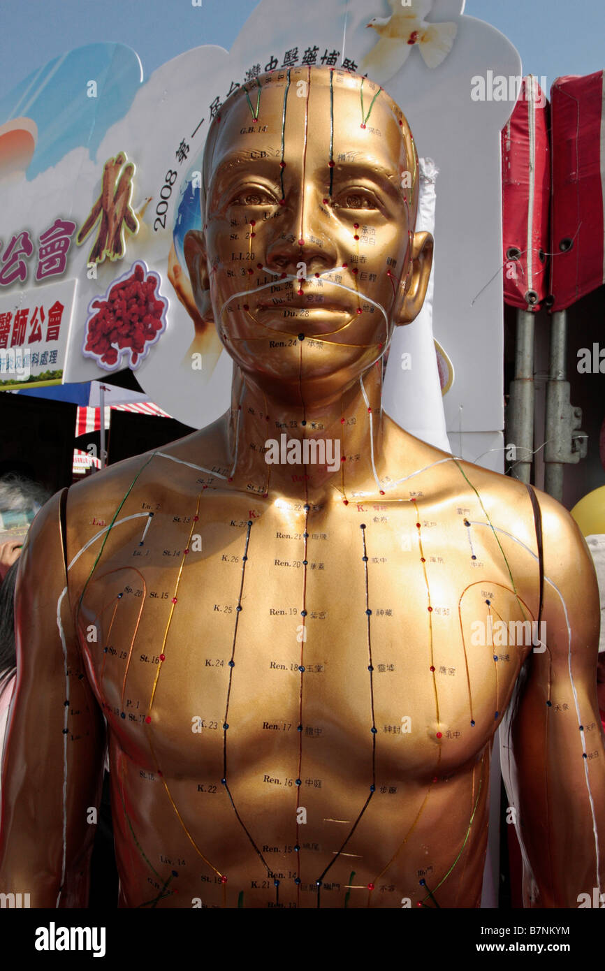 Human acupuncture point displayed by golden sculpture Stock Photo - Alamy