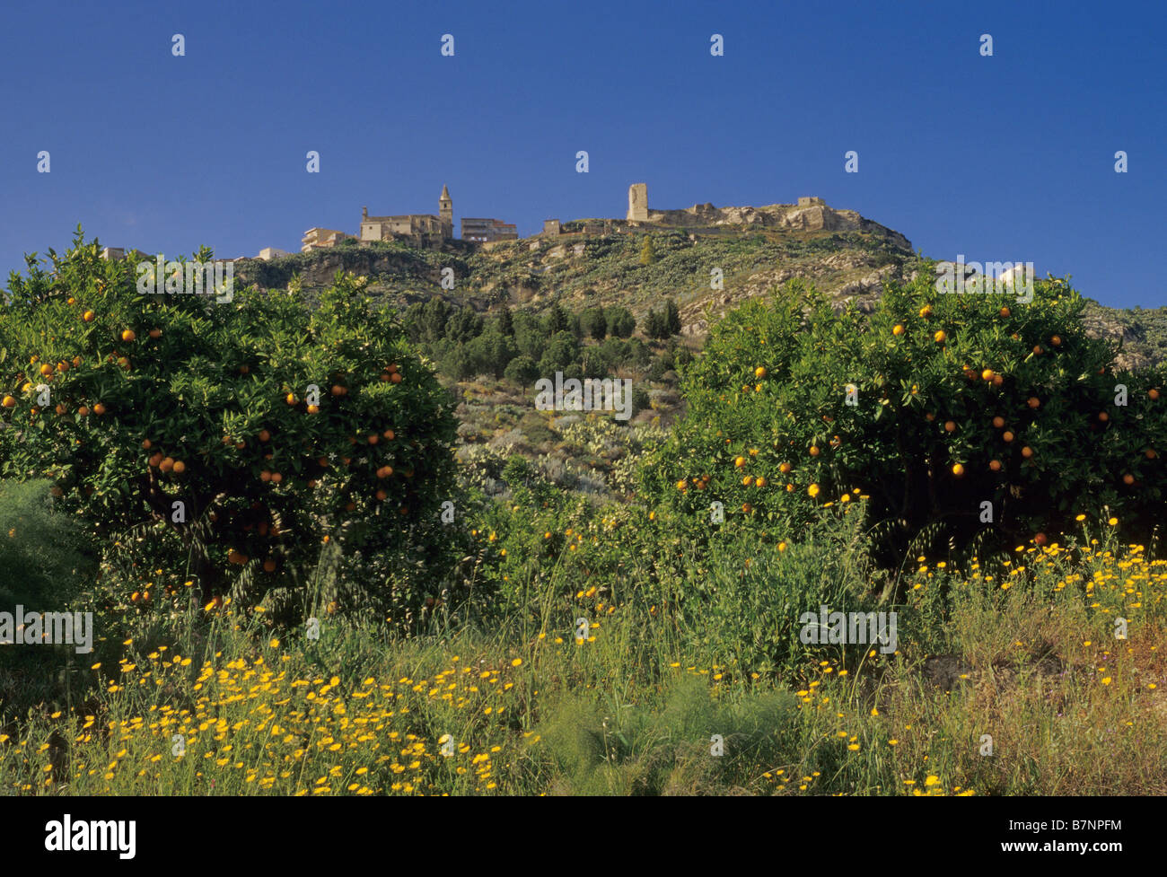 Hill town of Agira and orange trees Sicily Italy Stock Photo