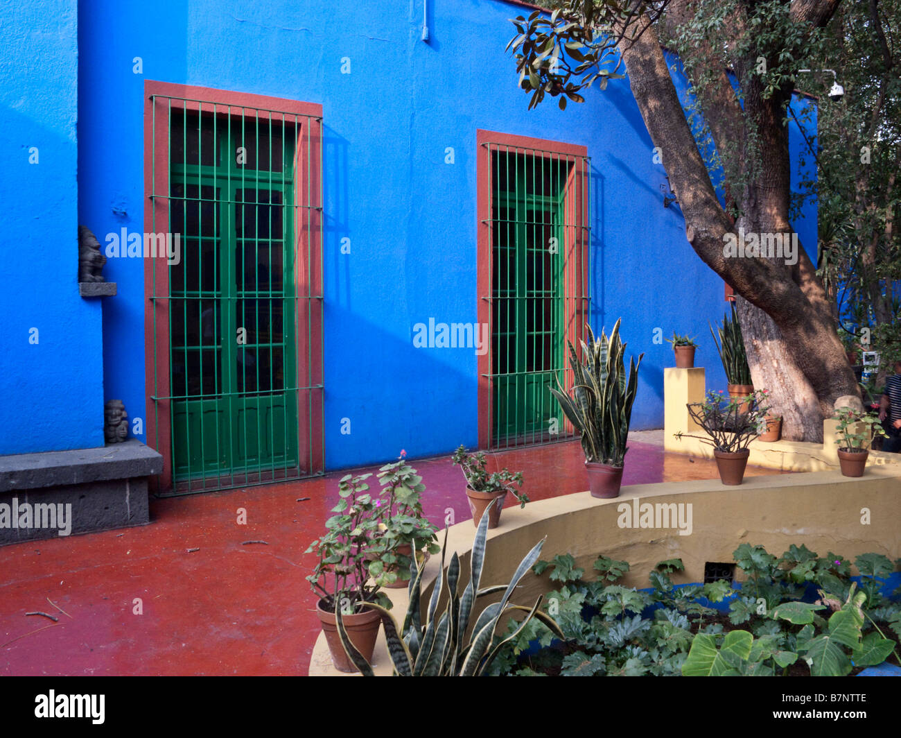 courtyard of Frida Kahlo museum (the blue house) in the Coyoacan district of Mexico City Stock Photo