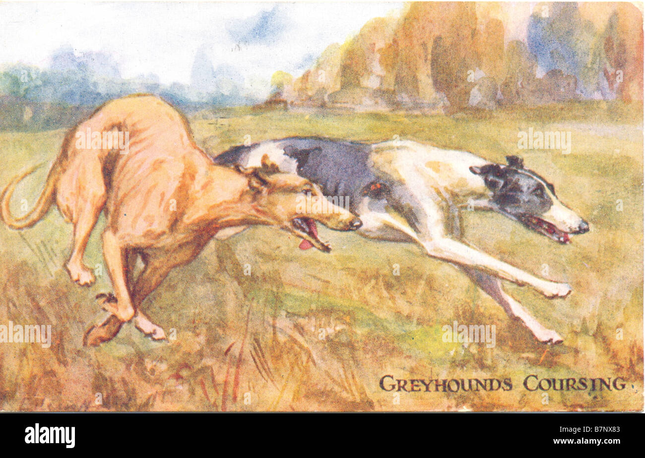 Picture postcard of painting of Greyhounds Coursing Stock Photo
