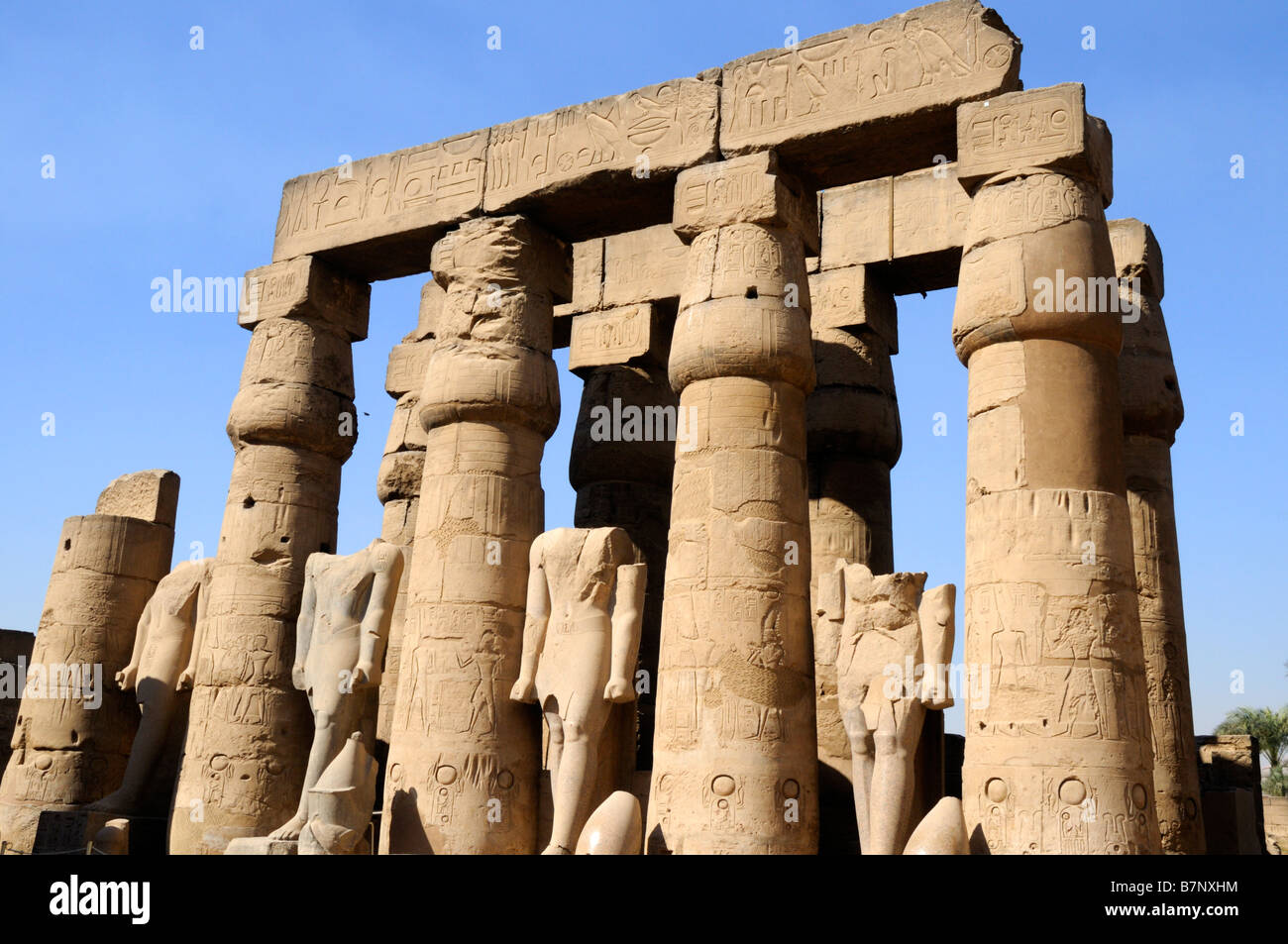 Lotus Bud Columns In The Temple Complex At Luxor In Egypt Stock Photo Alamy Lotus Bud Columns In The Temple Complex At Luxor In Egypt Stock Photo Alamy