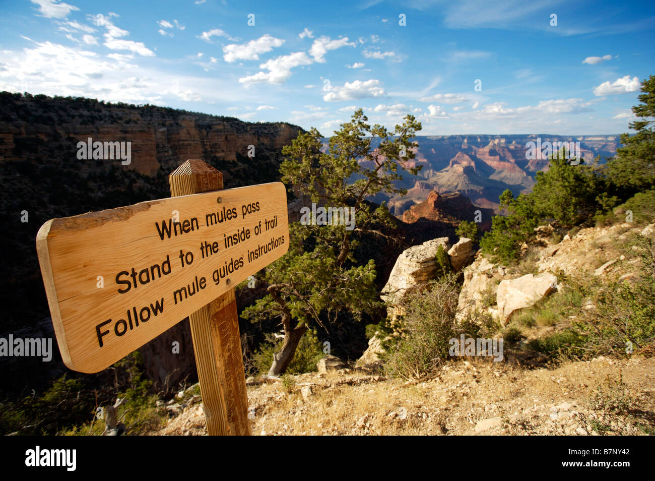 South Rim Grand Canyon Arizona Stock Photo - Alamy